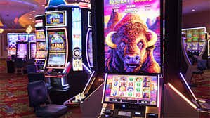 qq999bet